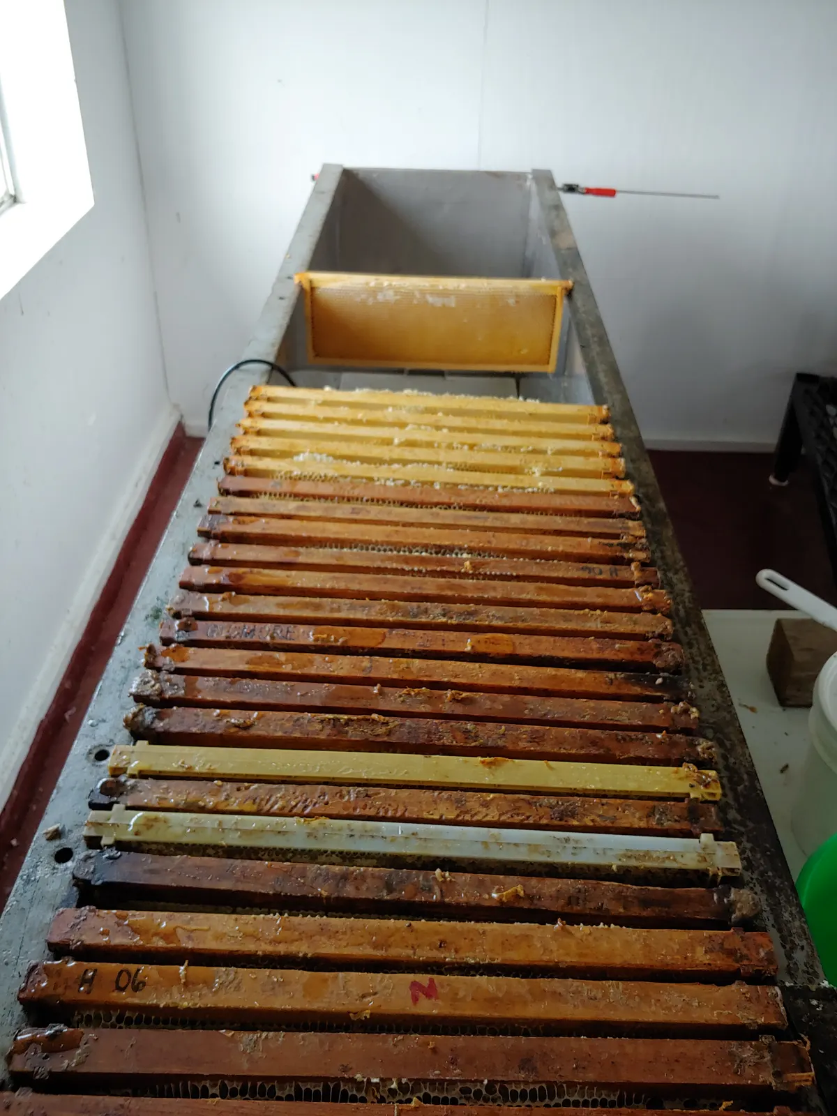 Rows of extracted honeycomb frames, from light to dark amber, mounted in an uncapping rack in the honey house
