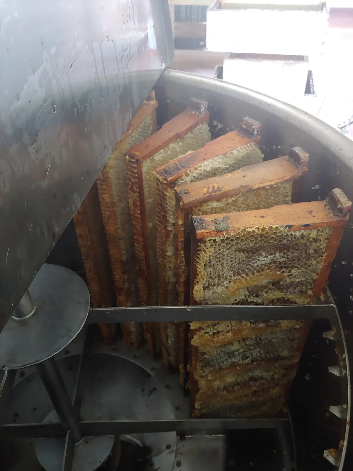 Frames of capped honeycomb loaded into a stainless steel honey extractor